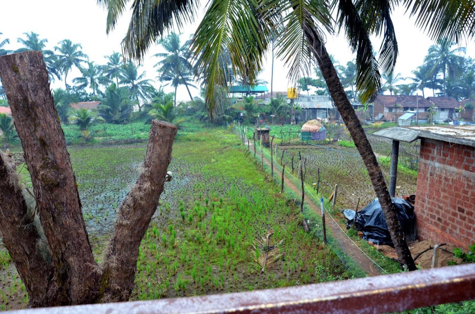 Kenchas Beach Resort Gokarna  Exterior foto