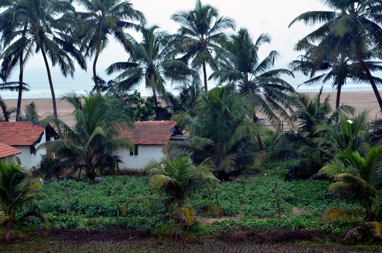 Kenchas Beach Resort Gokarna  Exterior foto